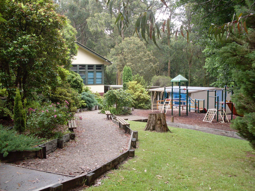 Toolangi Primary School