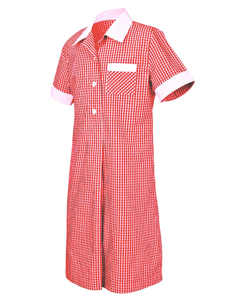 GINGHAM DRESS EduThreads